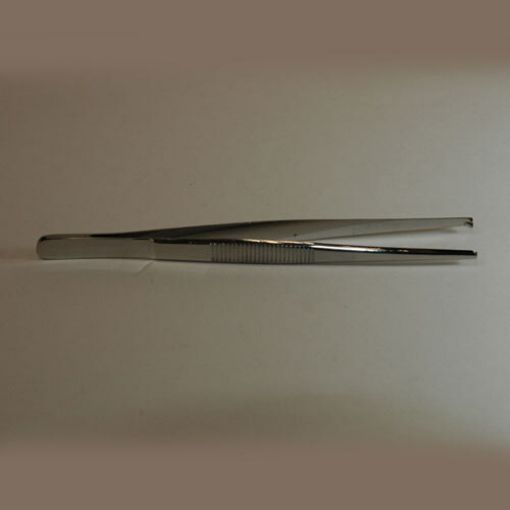 Tissue Forceps - 180mm
