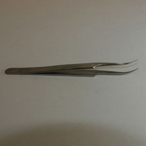 Needle point forceps curved