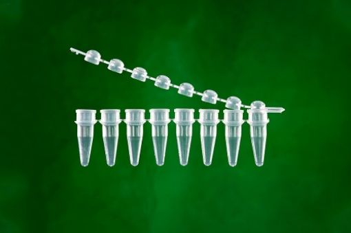 PCR Tube Strips with caps, pack 125