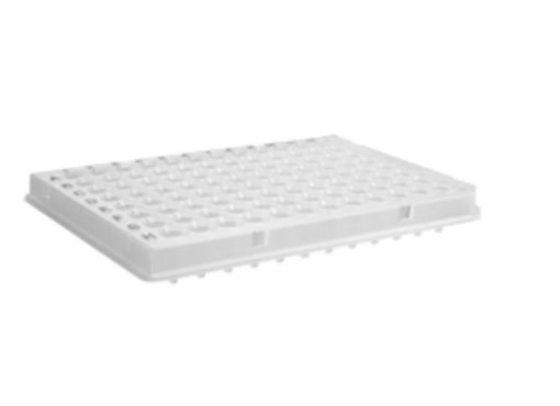 Axygen Full Skirted 96 Well Plate, 50 per Pack