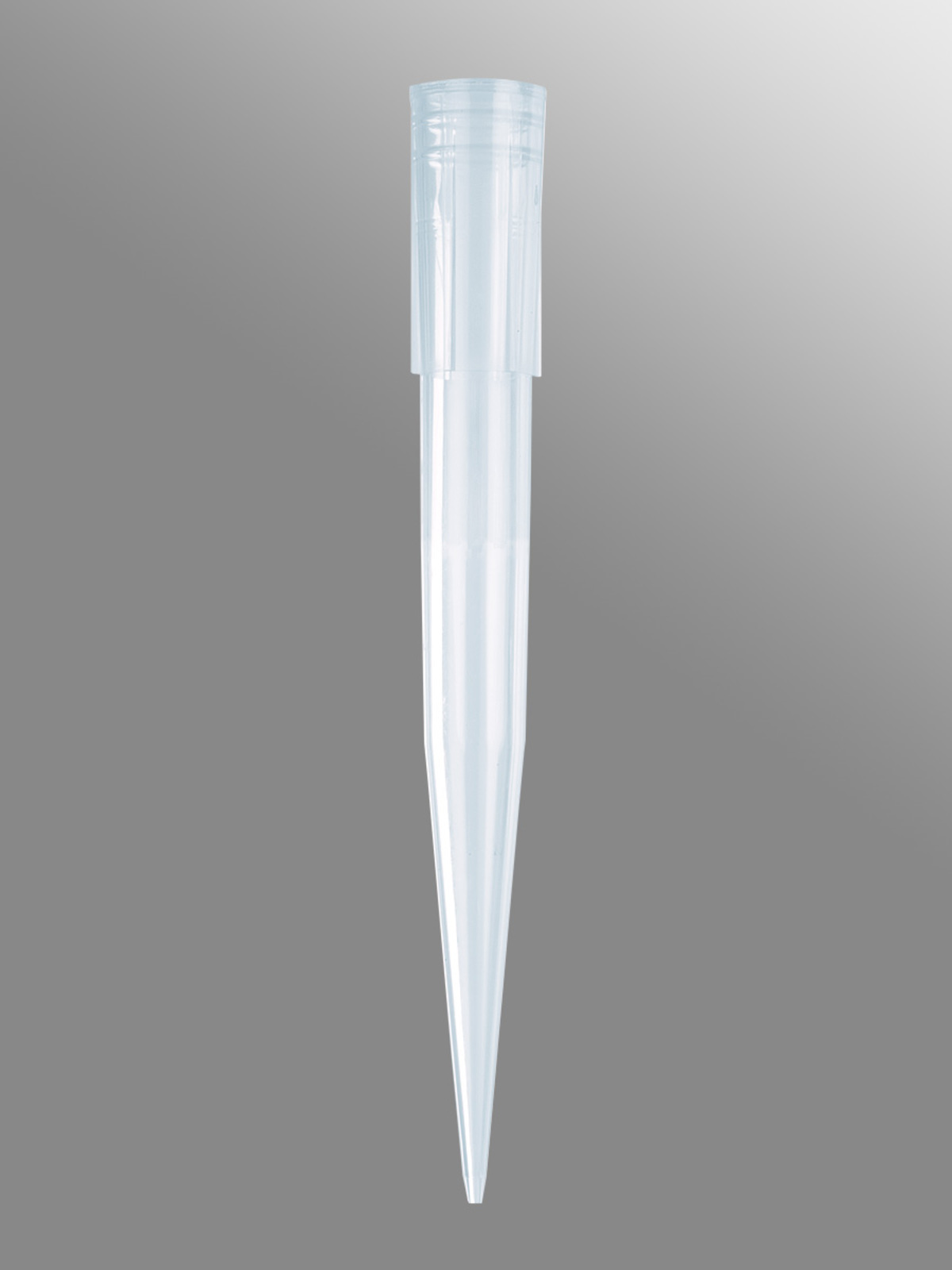 Axygen Blue Pipette Tips 1000uL, 1000 per Bag Southern Cross Science