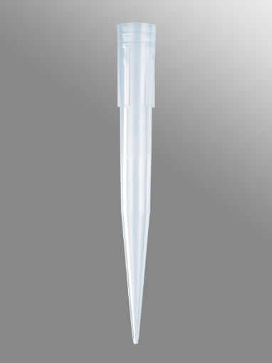 Axygen Blue Pipette Tips 1000uL, 1000 per Bag