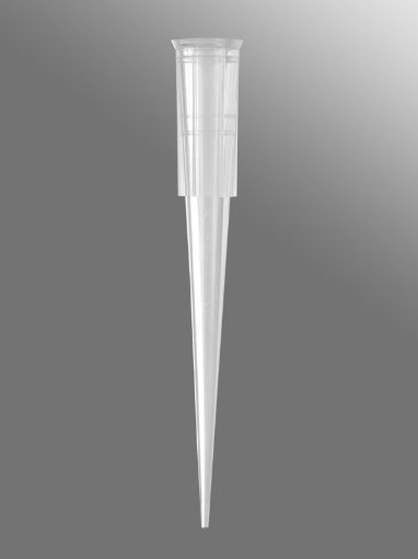 Axygen Clear Pipette Tips, 1-300uL, , 1000 Per Pack
