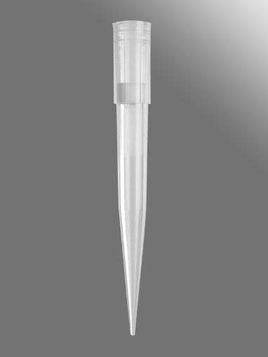 Axygen 20uL MAXYmum recovery filter tip (10x96) Sterile, 960 per Pack