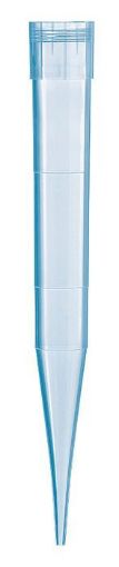 50-1000µl Blue Pipette Tips, 1000 Per Pack