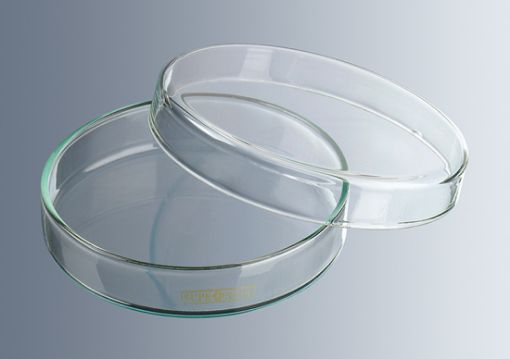 Petri Dish 100 x 15mm, pack 72