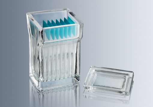 Staining Jar acc to Hellendahl, 10 per Pack