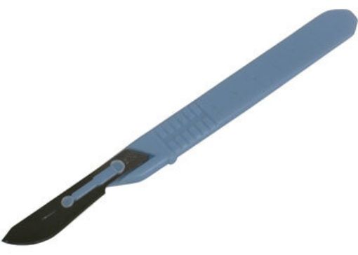 Scalpel with blade #22 Disposable/plastic handle, , 10 per Pack