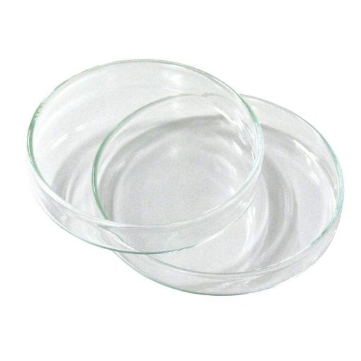 100mm Petri Dish, glass borosilicate