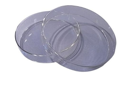 150mm Petri Dish, glass borosilicate