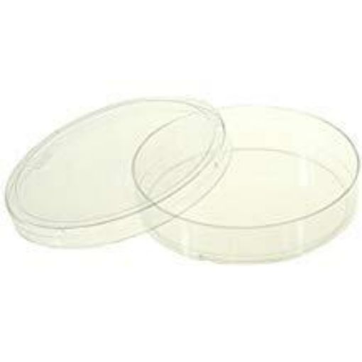 Cell Culture Dish 150mm, Polystyrene, TC Treated - 100 Per Pack