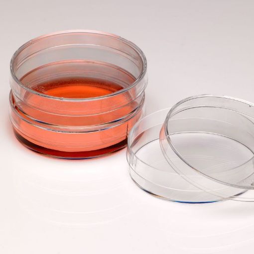 Cell Culture Dish 60mm - 100 Per Pack