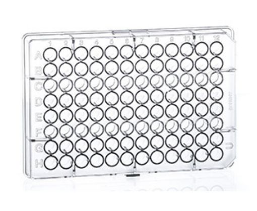 96 well Microplate U/Well Non Sterile, 100 per Carton