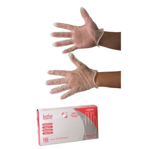 Glove Vinyl Powder Free Large, 100 per Pack