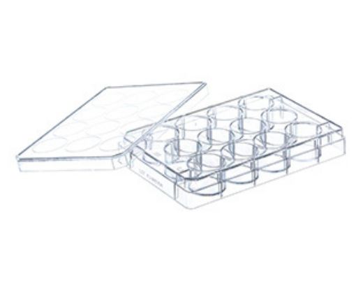 12 well multiplate with lid, individually wrapped, sterile, 100 per Pack