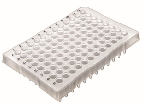 96 well plate, conical bottom,half skirted, flat top, pack 10