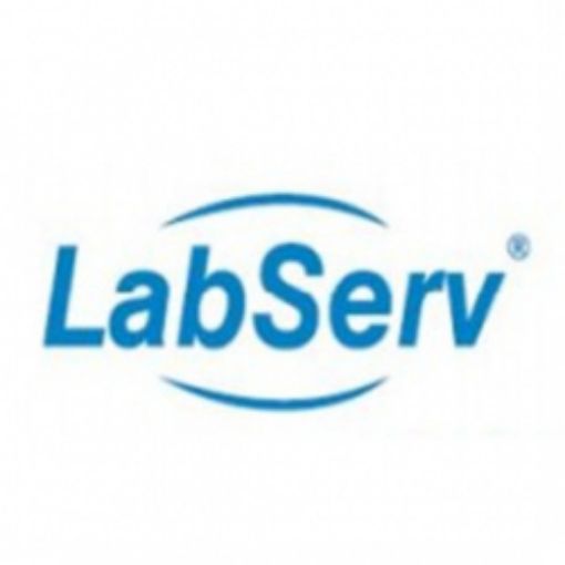 Foam Test Tube Racks, 10 per Pack