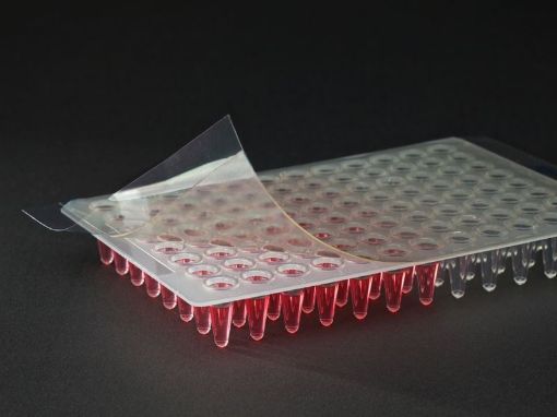 Quickseal PCR, 135x80mm, 100 per Pack