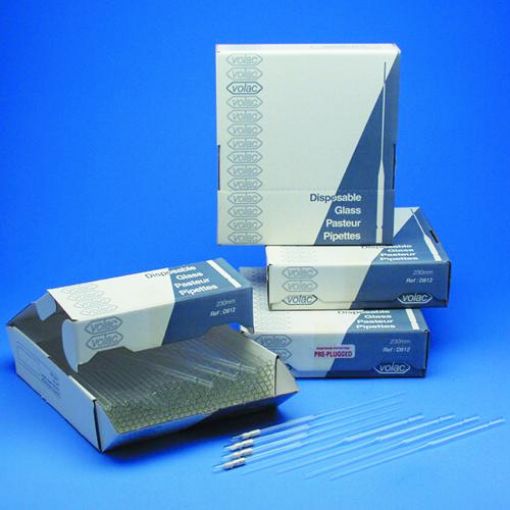 5 3/4 inch Plugged Glass Pasteur Pipette (pk 250)