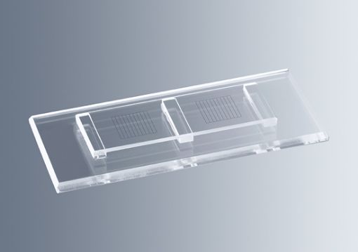 Counting chamber McMaster