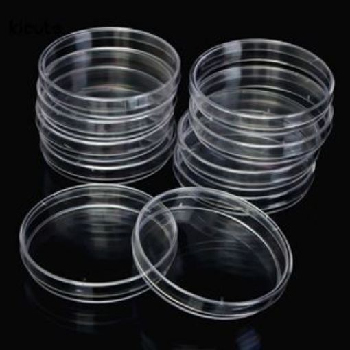90 x 15 mm Petri Dish, Sterile, 500 per Pack