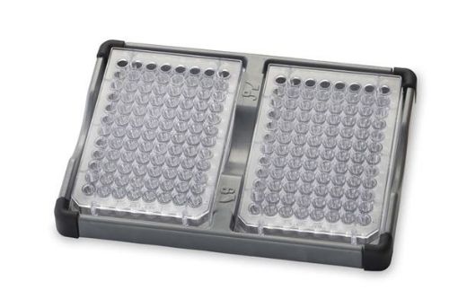 Double microplate holder