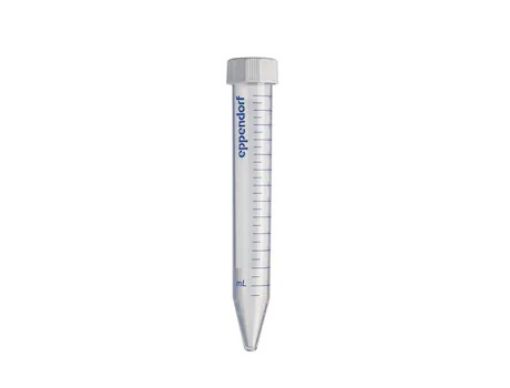 Picture of Eppendorf Conical Tubes, 15 mL, Forensic DNA Grade, individually packed, 100 pcs