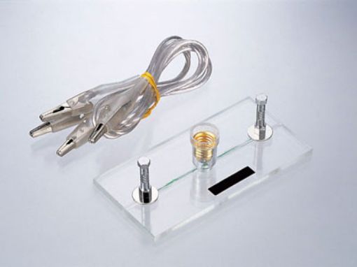 Picture of Genecon, Mini Bulb w/Leads & Clips (for Genecon V3 & Due)