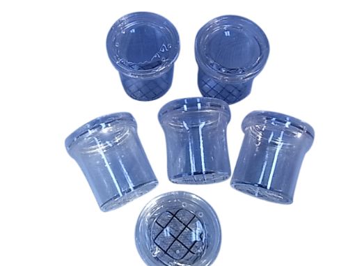 Picture of Specimen, Insect, Bug Viewer, 25mm, Magnified with Grid