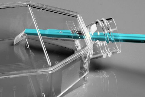 Picture of Scraper, Cell Shank 220mm, Blade 13mm, Sterile Each