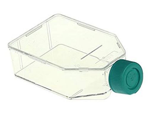 Picture of Flask, Cell Culture, 25cm2/50mL, Plug Seal Cap, Case of 200