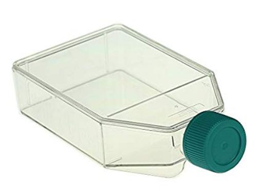 Picture of Flask, Cell Culture, 75cm2/250mL, Plug Seal Cap, Case of 100