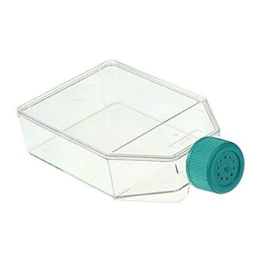 Picture of Flask, Cell Culture, 75cm2/250mL, Vent Cap, Case of 100