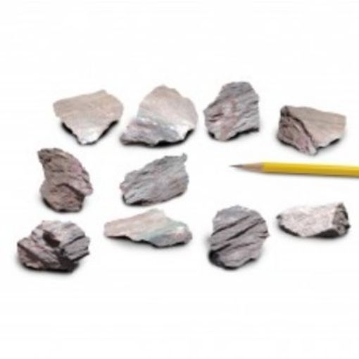 Picture of Rock, Phyllite, pack of 10