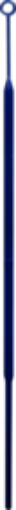 Picture of 10ul Innoculation Loop Blue, 1000 per Carton