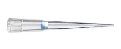 Picture of ep Dualfilter T.I.P.S., sterile & PCR clean, 2-200 µl, 960 tips (10 racks x 96) (previously 0030077555)