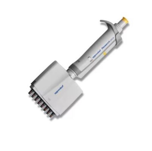 Picture of Eppendorf Research® plus, 8-channel, variable 10-100 µL, yellow, incl. epT.I.P.S.® Box