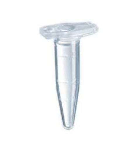 Picture of DNA LoBind® Tubes, PCR clean, 0.5 mL, 250 tubes (5 bags × 50 tubes)