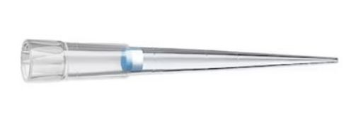 Picture of ep Dualfilter T.I.P.S.®, Forensic DNA Grade, 2 – 200 µL, yellow, colorless tips, 960 tips (10 racks × 96 tips)