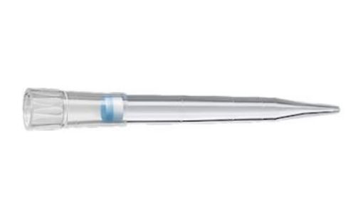 Picture of ep Dualfilter T.I.P.S., sterile & PCR clean, 20-300 µl, 960 tips (10 racks x 96) (previously 0300077563)