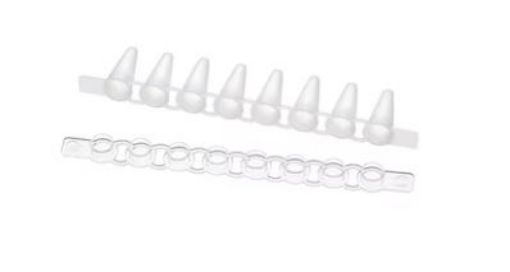 Picture of Eppendorf Fast PCR Tube Strips, 0.1 mL, with cap strips, domed, PCR clean, 120 pcs. (10 × 12 pcs.)
