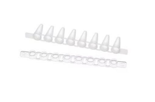Picture of Eppendorf Fast PCR Tube Strips, 0.1 mL, with cap strips, flat, PCR clean, 120 pcs. (10 × 12 pcs.)
