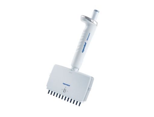 Picture of Eppendorf Reference® 2, 12-channel, variable, 0.5-10 µL, medium gray, incl. epT.I.P.S.® Box
