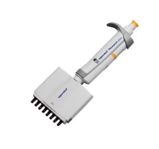 Picture of Eppendorf Research® plus, 8-channel, variable 30-300 µL, orange, incl. epT.I.P.S.® Box (previously 3122000051)