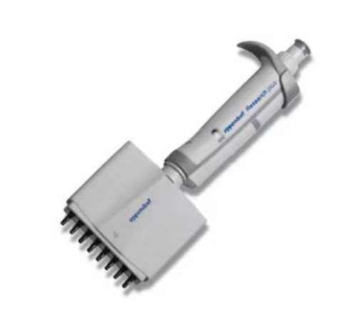 Picture of Eppendorf Research® plus, 8-channel, variable 0.5-10 µL, medium gray, incl. epT.I.P.S.® box (previously 3122000019)