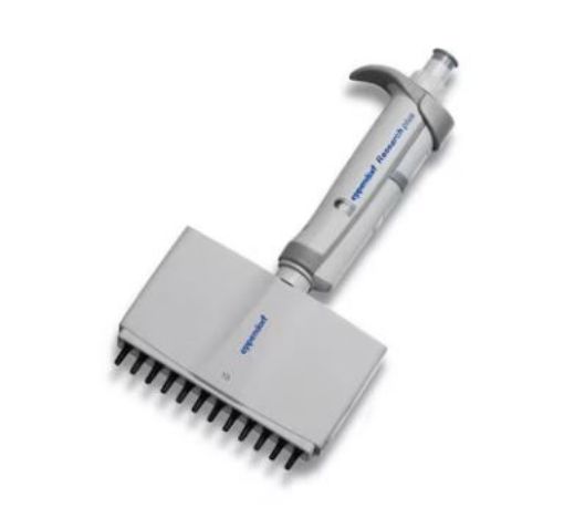 Picture of Eppendorf Research® plus, 12-channel, variable 0.5-10 µL, medium gray, incl. epT.I.P.S.® Box