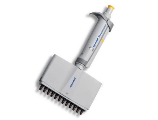 Picture of Eppendorf Research® plus, 12-channel, variable 10-100 µL, yellow, incl. epT.I.P.S.® Box