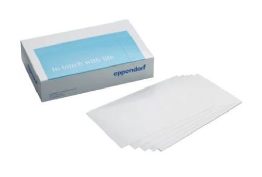 Picture of Eppendorf Storage Film, self-adhesive, PCR clean, 100 pcs. (2 bags × 50 pcs.)