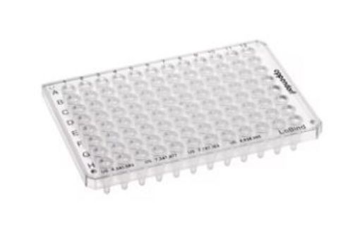 Picture of Eppendorf twin.tec® PCR Plate 96 LoBind®, semi-skirted, 250 µL, PCR clean, colorless, 25 plates