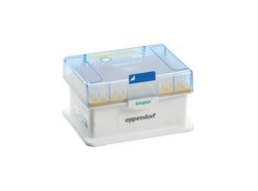 Picture of epT.I.P.S. Racks, Biopur, 0.1-20 µL, medium grey, 480 tips (5 racks × 96)